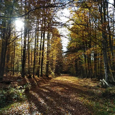 Haus Jaegerfleck, Ihre Am Nationalpark Bayerischer Wald Apartment