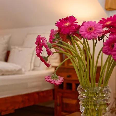 Apartment Haus Jaegerfleck, Ihre Am Nationalpark Bayerischer Wald