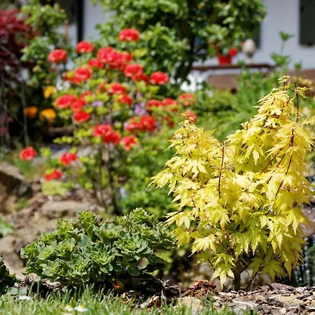 Apartment Haus Jaegerfleck, Ihre Am Nationalpark Bayerischer Wald