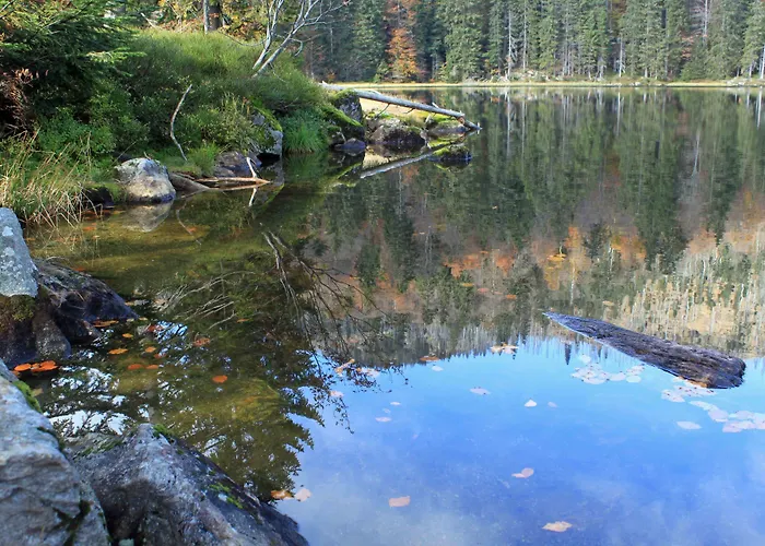 Apartment Haus Jägerfleck, Ihre Am Nationalpark Bayerischer Wald