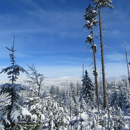 Haus Jaegerfleck, Ihre Am Nationalpark Bayerischer Wald * Spiegelau