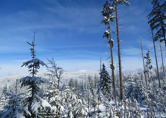 Haus Jaegerfleck, Ihre Am Nationalpark Bayerischer Wald * 斯皮格劳